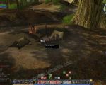 Quest: Blackwold Valuables, objective 1 image 1812 thumbnail