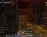 Quest: Fallen Oak, objective 1, step 1 image 2719 thumbnail